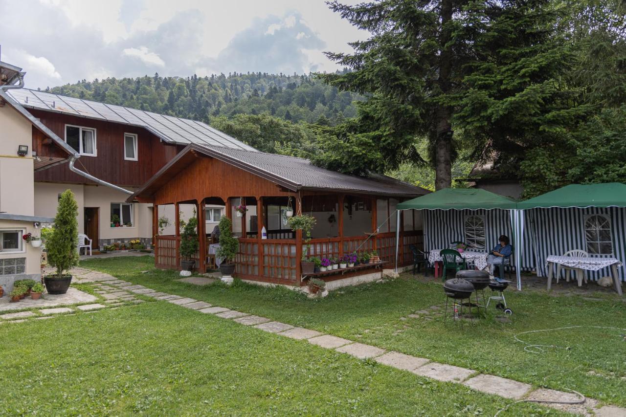 Pensiunea Montan Busteni Exterior photo