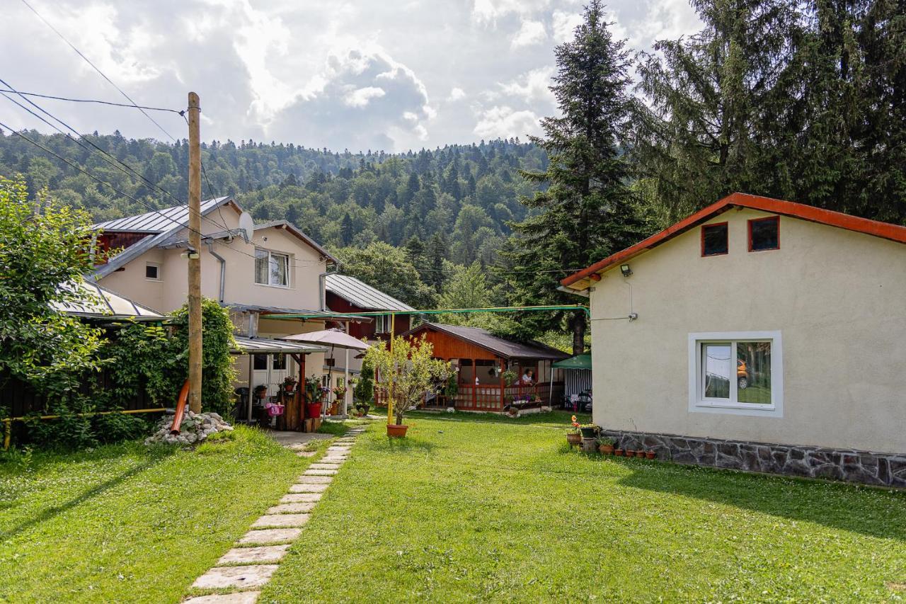 Pensiunea Montan Busteni Exterior photo