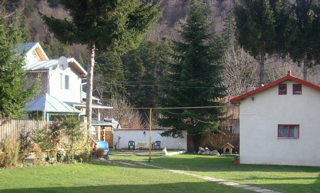 Pensiunea Montan Busteni Exterior photo