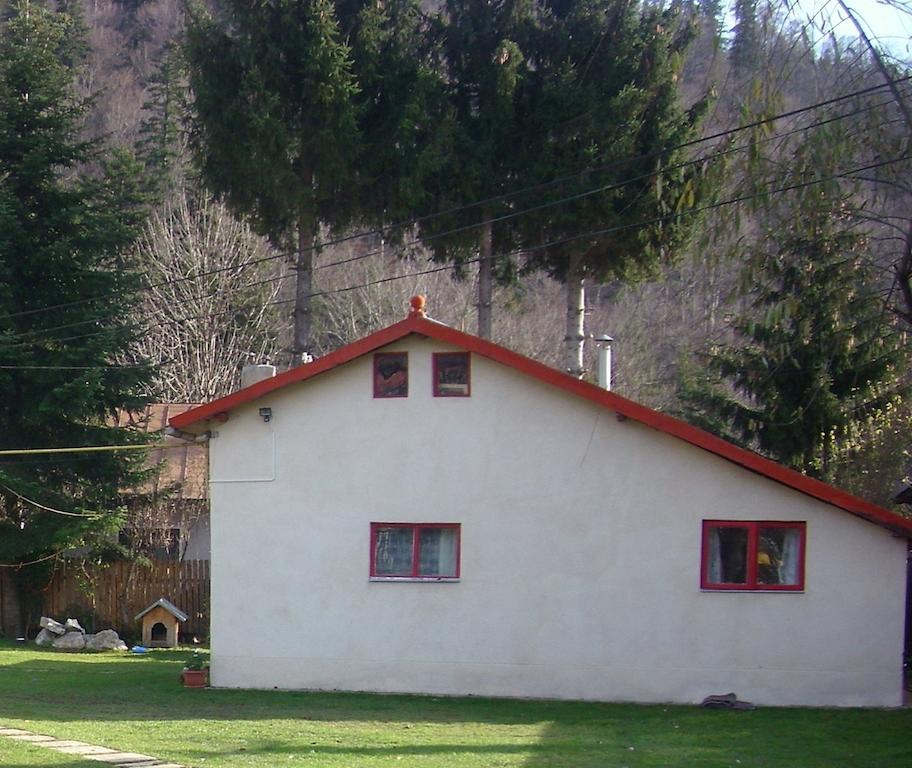 Pensiunea Montan Busteni Exterior photo