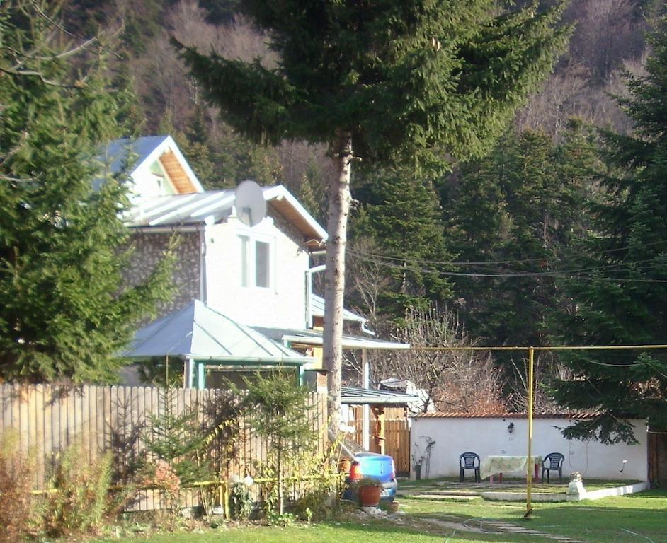 Pensiunea Montan Busteni Exterior photo