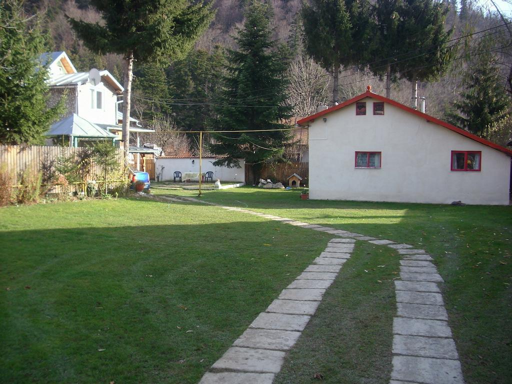 Pensiunea Montan Busteni Exterior photo